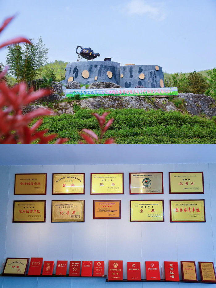 鎮(zhèn)巴鹽場鎮(zhèn) 傳承與創(chuàng)新的交融，探索茶葉發(fā)展多元之路