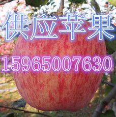 莒縣傲翔農副產品購銷處 優(yōu)質食品銷售的卓越典范