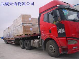 武威洋蔥大量上市，誠邀全國客商共拓商機