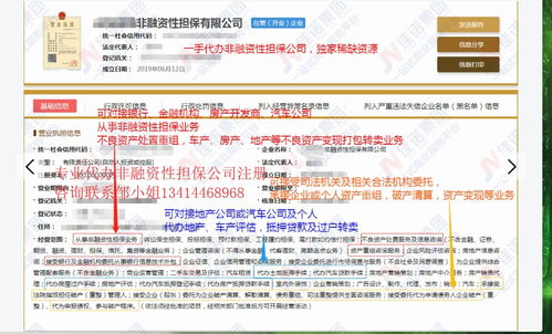 獨(dú)家渠道代辦非融資性擔(dān)保公司 專(zhuān)業(yè)金融信息咨詢(xún)服務(wù)指南