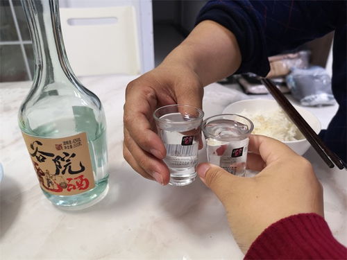 冬來天欲雪，能飲一杯無——谷小酒谷院燒酒無酒精即飲型測評